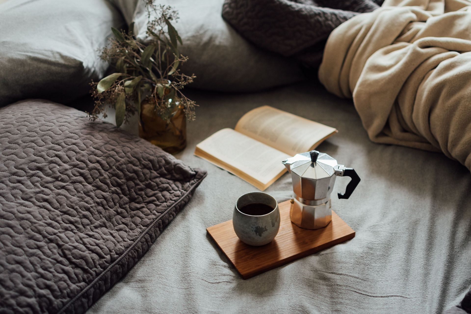 Might prevent chronic illness (Image via Pexels/Daniela Constantini)